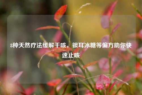 8种天然疗法缓解干咳,银耳冰糖等偏方助你快速止咳