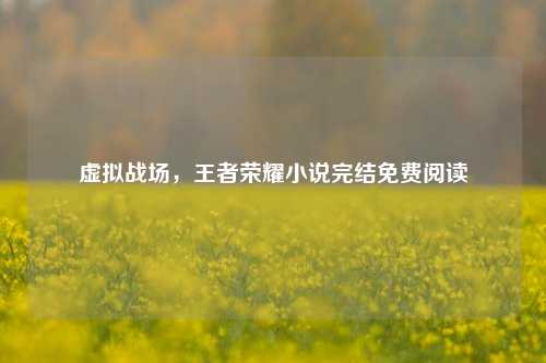 虚拟战场，王者荣耀小说完结免费阅读