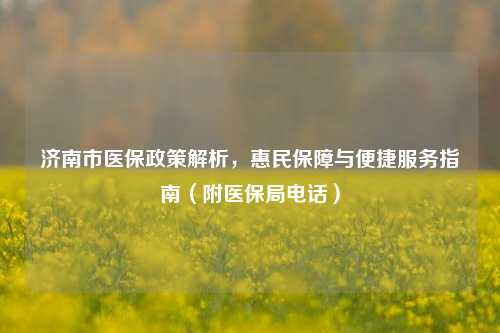 济南市医保政策解析,惠民保障与便捷服务指南(附医保局电话)