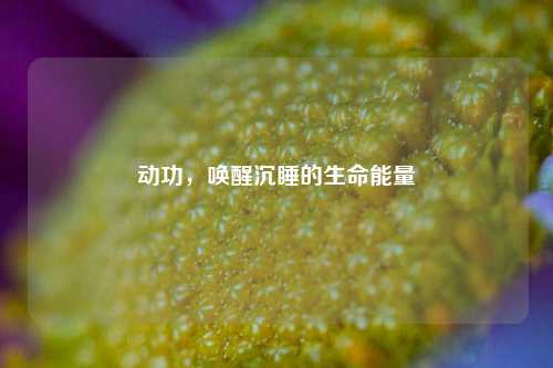 动功,唤醒沉睡的生命能量