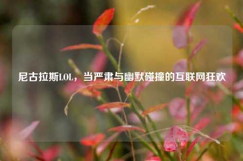 尼古拉斯LOL,当严肃与幽默碰撞的互联网狂欢