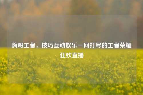 嗨哥王者，技巧互动娱乐一网打尽的王者荣耀狂欢直播