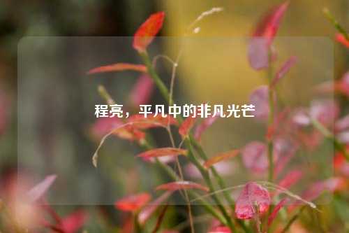 程亮，平凡中的非凡光芒