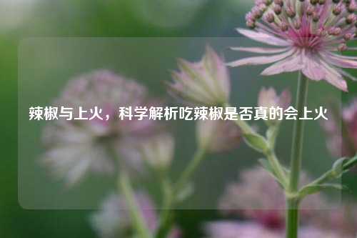 辣椒与上火，科学解析吃辣椒是否真的会上火