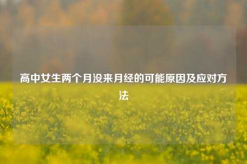 高中女生两个月没来月经的可能原因及应对方法