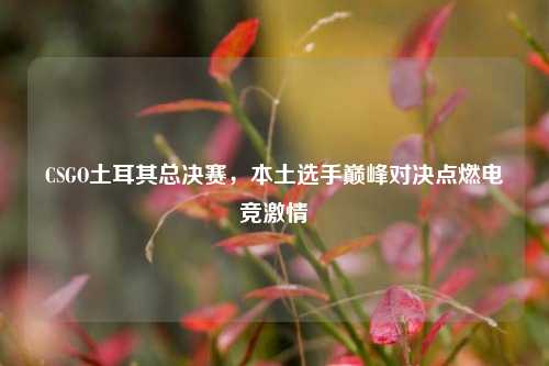 CSGO土耳其总决赛，本土选手巅峰对决点燃电竞激情