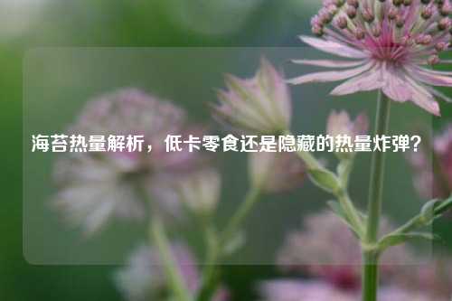 海苔热量解析，低卡零食还是隐藏的热量炸弹？