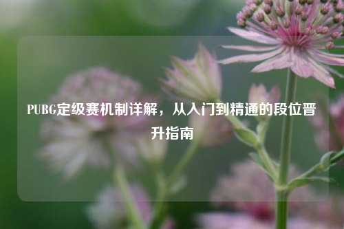 PUBG定级赛机制详解，从入门到精通的段位晋升指南