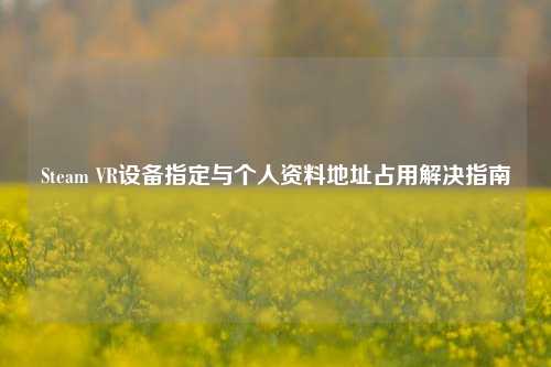 Steam VR设备指定与个人资料地址占用解决指南