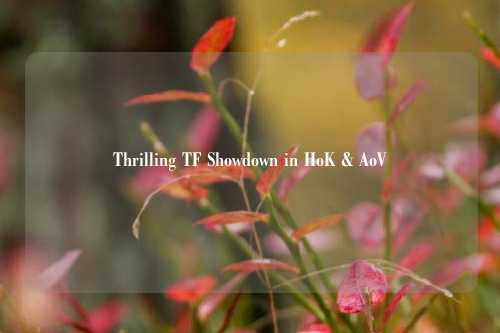 Thrilling TF Showdown in HoK & AoV