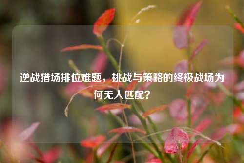 逆战猎场排位难题,挑战与策略的终极战场为何无人匹配?