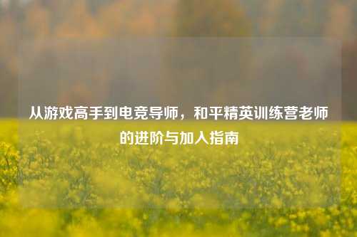 从游戏高手到电竞导师,和平精英训练营老师的进阶与加入指南