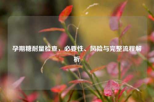 孕期糖耐量检查,必要性、风险与完整流程解析