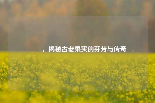 榅桲，揭秘古老果实的芬芳与传奇