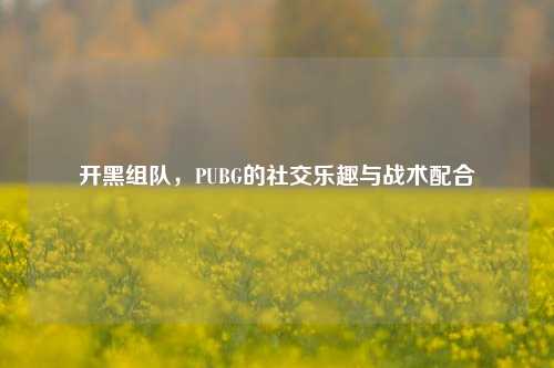 开黑组队，PUBG的社交乐趣与战术配合