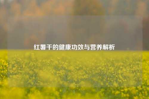 红薯干的健康功效与营养解析