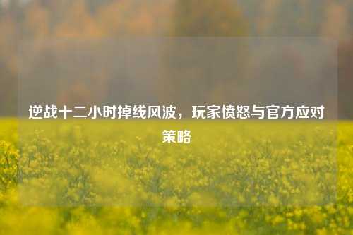 逆战十二小时掉线风波,玩家愤怒与官方应对策略