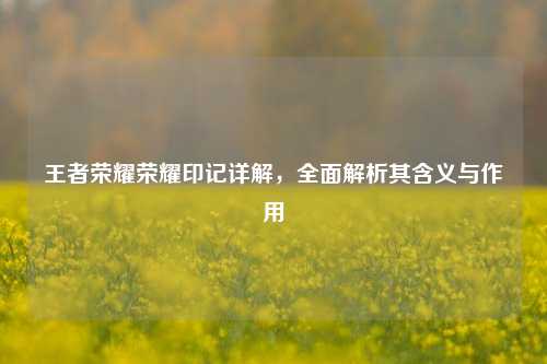 王者荣耀荣耀印记详解，全面解析其含义与作用