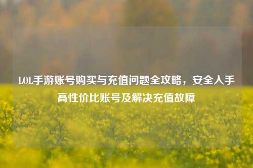 LOL手游账号购买与充值问题全攻略，安全入手高性价比账号及解决充值故障