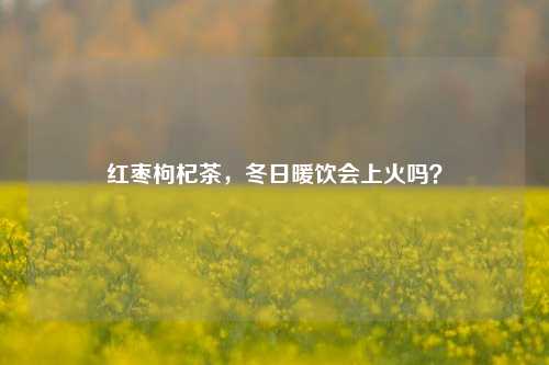 红枣枸杞茶,冬日暖饮会上火吗?