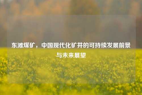 东滩煤矿,中国现代化矿井的可持续发展前景与未来展望