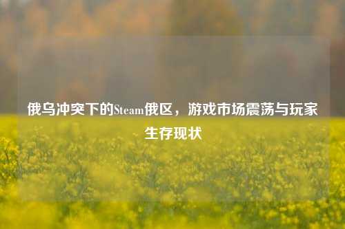 俄乌冲突下的Steam俄区,游戏市场震荡与玩家生存现状
