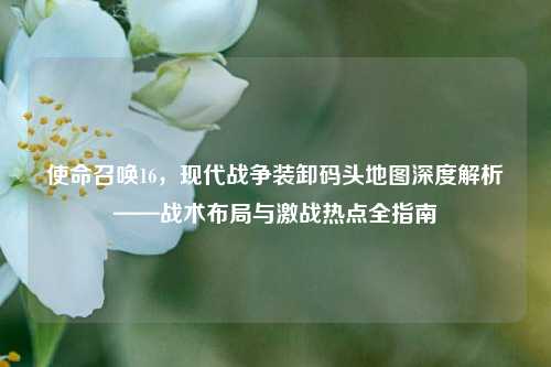 使命召唤16，现代战争装卸码头地图深度解析——战术布局与激战热点全指南