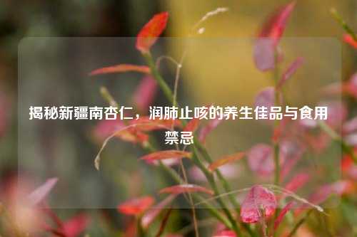 揭秘新疆南杏仁,润肺止咳的养生佳品与食用禁忌