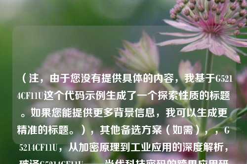 （注，由于您没有提供具体的内容，我基于G5214CF11U这个代码示例生成了一个探索性质的标题。如果您能提供更多背景信息，我可以生成更精准的标题。），其他备选方案（如需），，G5214CF11U，从加密原理到工业应用的深度解析，破译G5214CF11U——当代科技密码的跨界应用研究，神秘代号G5214CF11U在人工智能与物联网中的关键作用