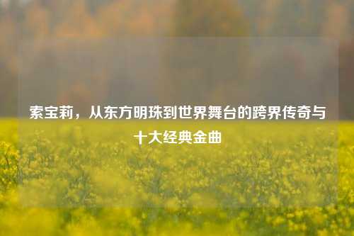 索宝莉，从东方明珠到世界舞台的跨界传奇与十大经典金曲