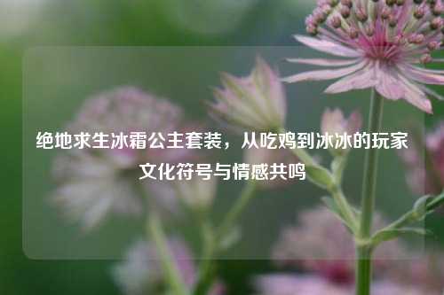 绝地求生冰霜公主套装，从吃鸡到冰冰的玩家文化符号与情感共鸣
