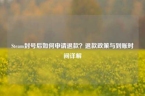 Steam封号后如何申请退款？退款政策与到账时间详解
