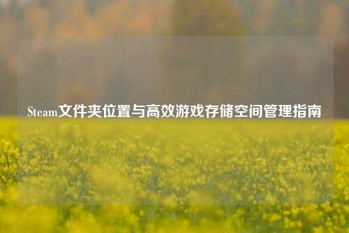 Steam文件夹位置与高效游戏存储空间管理指南