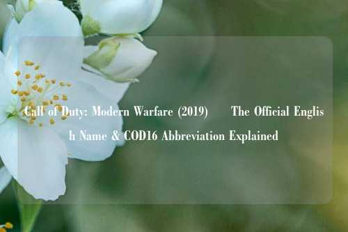 Call of Duty: Modern Warfare (2019) – The Official English Name & COD16 Abbreviation Explained