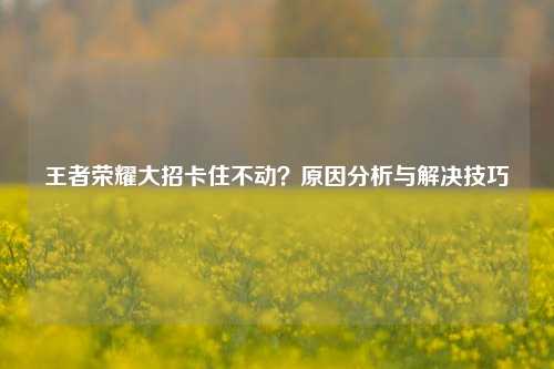 王者荣耀大招卡住不动？原因分析与解决技巧