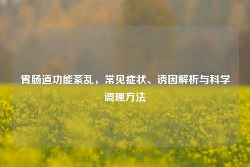 胃肠道功能紊乱，常见症状、诱因解析与科学调理方法