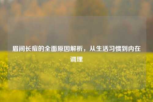 眉间长痘的全面原因解析,从生活习惯到内在调理