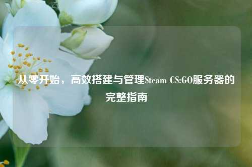 从零开始,高效搭建与管理Steam CS:GO服务器的完整指南