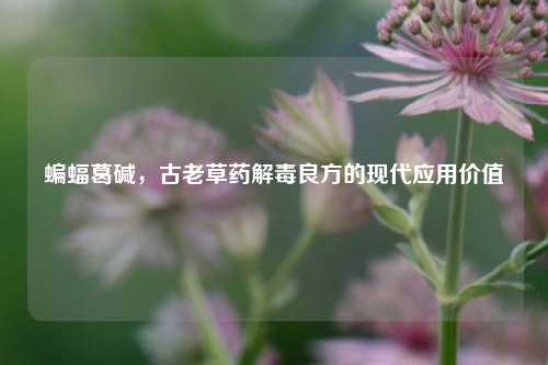 蝙蝠葛碱，古老草药解毒良方的现代应用价值