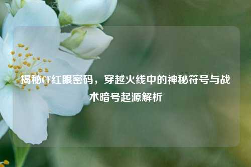 揭秘CF红眼密码,穿越火线中的神秘符号与战术暗号起源解析