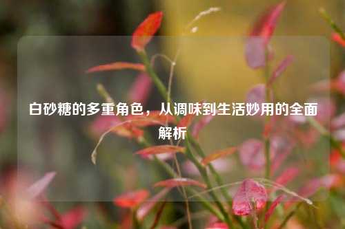 白砂糖的多重角色,从调味到生活妙用的全面解析