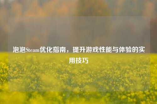泡泡Steam优化指南，提升游戏性能与体验的实用技巧
