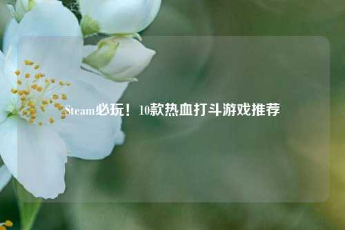 Steam必玩!10款热血打斗游戏推荐