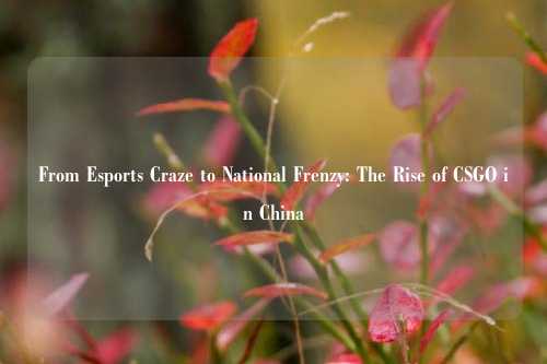 From Esports Craze to National Frenzy: The Rise of CSGO in China