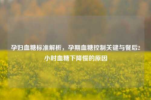孕妇血糖标准解析,孕期血糖控制关键与餐后2小时血糖下降慢的原因