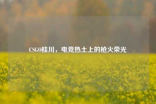 CSGO桂川，电竞热土上的枪火荣光