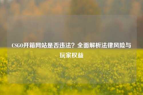 CSGO开箱网站是否违法？全面解析法律风险与玩家权益