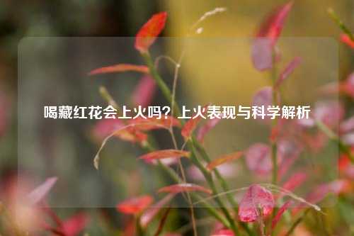 喝藏红花会上火吗？上火表现与科学解析