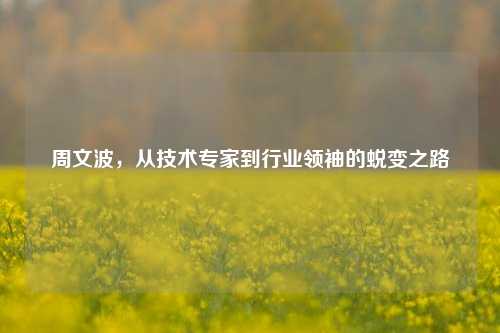 周文波,从技术专家到行业领袖的蜕变之路