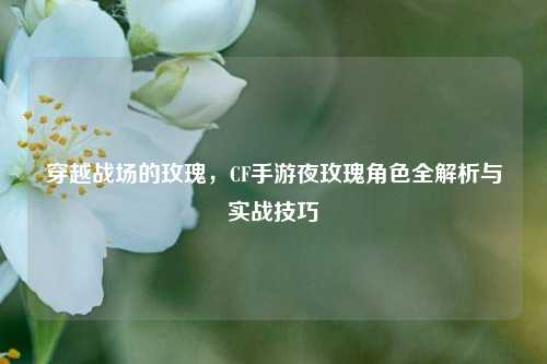 穿越战场的玫瑰，CF手游夜玫瑰角色全解析与实战技巧